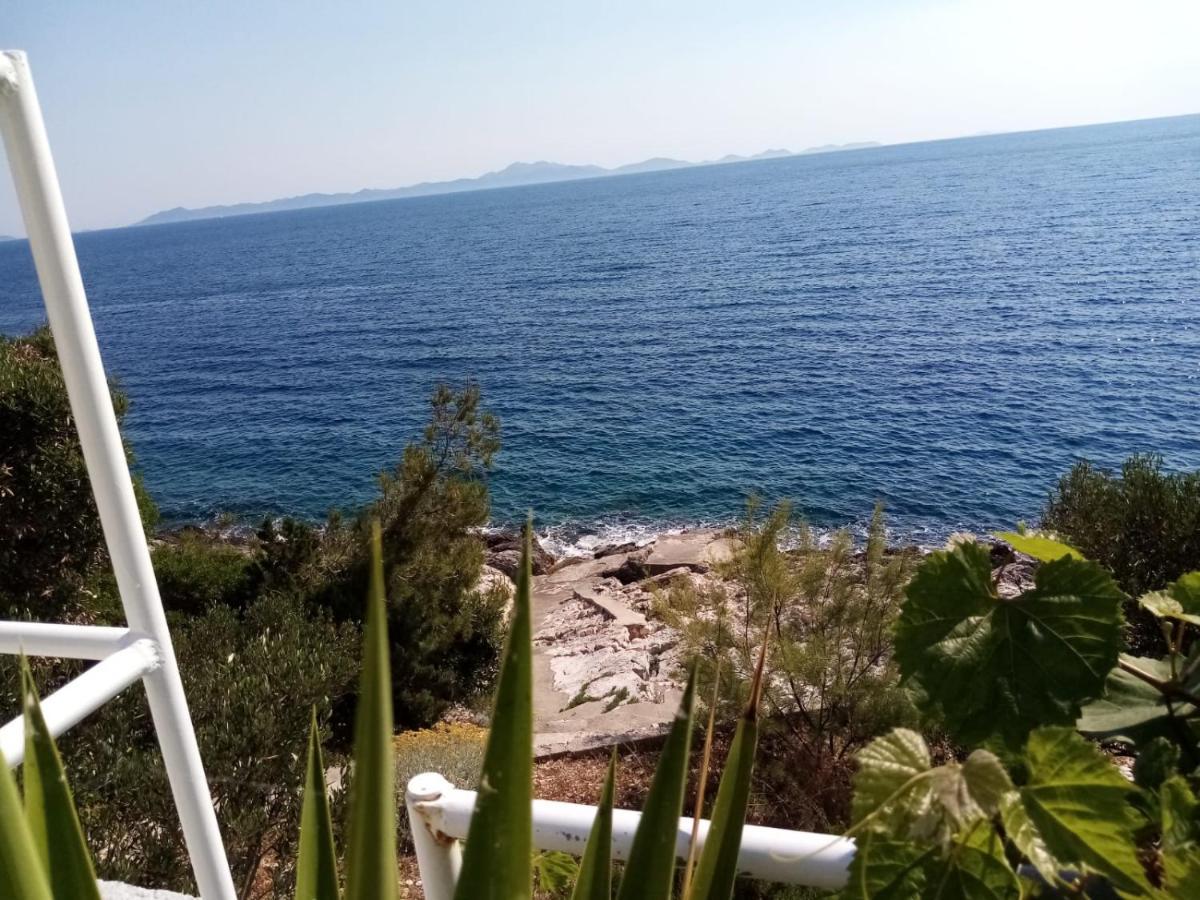 Apartman Laus Zavalatica Exteriör bild